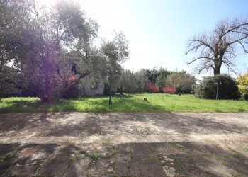 Porzione finale di casa colonica con giardino in v - Casale via della chiesa di Camigliano, Camigliano 1, Lucca - foto 27