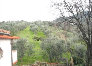 Vista dall\'immobile - Villa Trifamiliare Monsummano Terme - foto 9