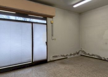 IMG_20260129_095459 - Copia.jpg - Laboratorio Via Ennio Carando, Modena - foto 5