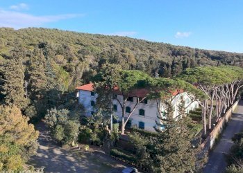 photo_9_2026-02-28_12-32-59.jpg - Trilocale Via Variante Aurelia 6, Rosignano Marittimo - foto 14