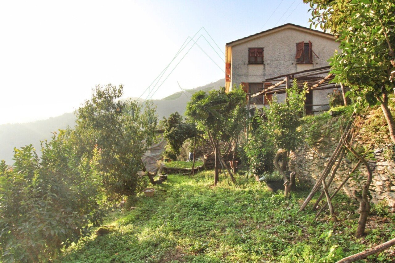 rid_1 IMG_E7670.jpg - Rustic Passo al Groppallo 22, Rapallo - photo 2