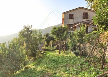 rid_1 IMG_E7670.jpg - Rustico Passo al Groppallo 22, Rapallo - foto 2