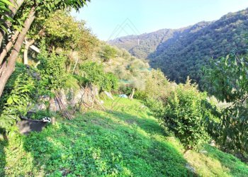 rid_1 IMG_E7668.jpg - Rustico Passo al Groppallo 22, Rapallo - foto 18