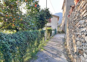 rid_1 IMG_E7573.jpg - Rustico Passo al Groppallo 22, Rapallo - foto 24