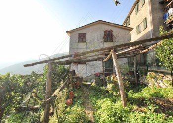 rid_1 IMG_E7630.jpg - Rustico Passo al Groppallo 22, Rapallo - foto 26