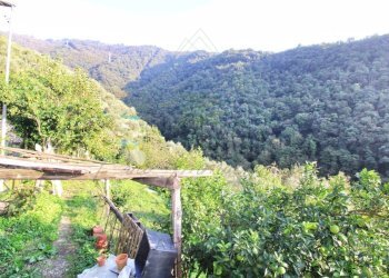 rid_1 IMG_E7639.jpg - Rustico Passo al Groppallo 22, Rapallo - foto 27