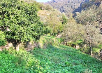 rid_1 IMG_E7663.jpg - Rustico Passo al Groppallo 22, Rapallo - foto 30