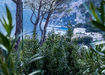 Capri-villa-vista 1.jpg - Villa Via Tuoro 11, Capri - foto 6