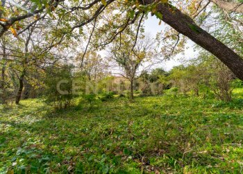 Villa Linguaglossa (22).jpg - Villa CONTRADA ALBORETTO, Linguaglossa - foto 21