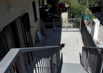 2017-10-09-PHOTO-00000022.jpg - Bilocale via candia, Ancona - foto 14