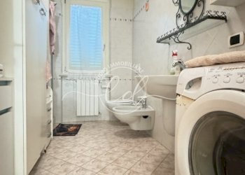 IMG_3517.JPG - Four-room apartment Camaiore - photo 16