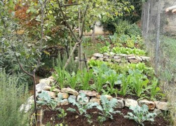 WhatsApp Image 2026-02-04 at 13.51.39 (2).jpeg - Villa Via Giuseppe Verdi 41, Marcellina - foto 27