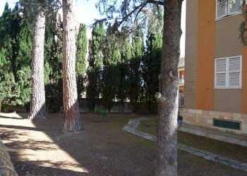 esterno - Villa Corinaldo - photo 6