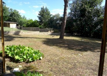 esterno - Villa Corinaldo - photo 8