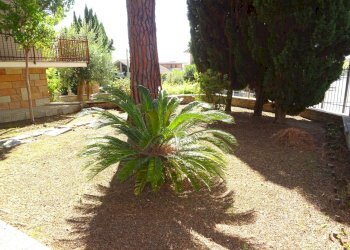 esterno - Villa Corinaldo - photo 10