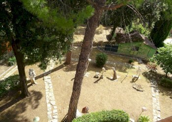 giardino - Villa Corinaldo - photo 14