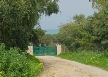 20260203_121051.jpg - Trilocale Via dei Balcani, Trapani - foto 20