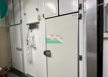 PHOTO-2025-06-06-13-28-20 2.jpg - Locale Commerciale viale francesco petrarca, Ravenna - foto 7