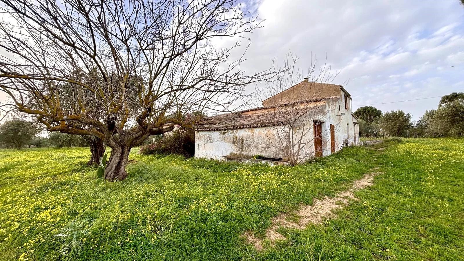 Villa Contrada Bosco Falconeria SNC, 90047 Partinico PA, Partinico - photo 1