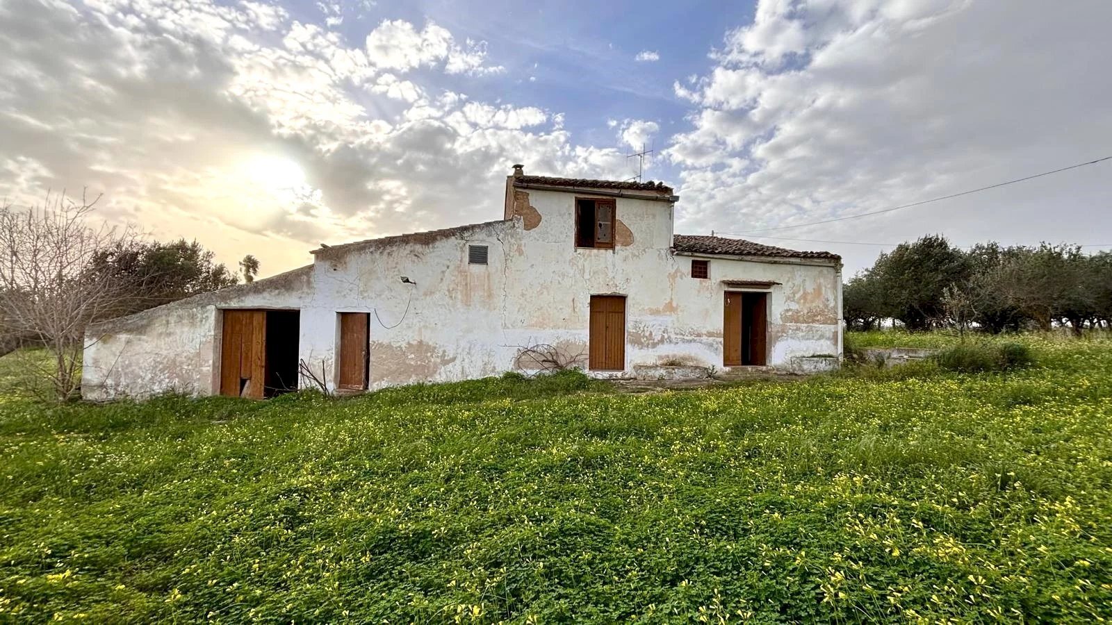 Villa Contrada Bosco Falconeria SNC, 90047 Partinico PA, Partinico - photo 2