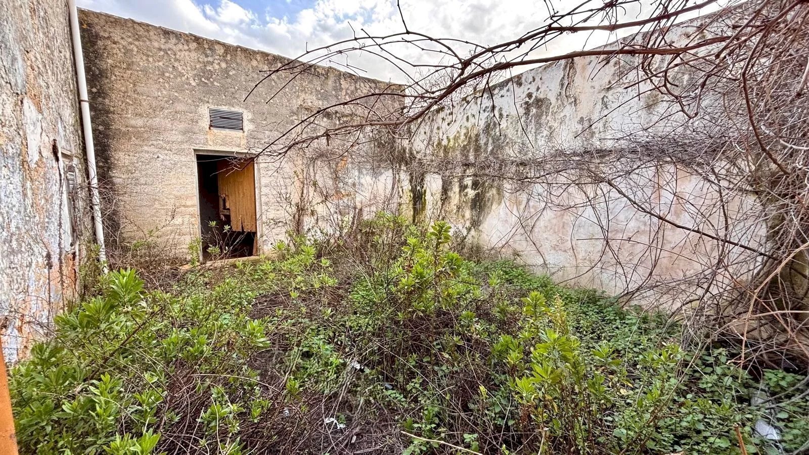 Villa Contrada Bosco Falconeria SNC, 90047 Partinico PA, Partinico - photo 3