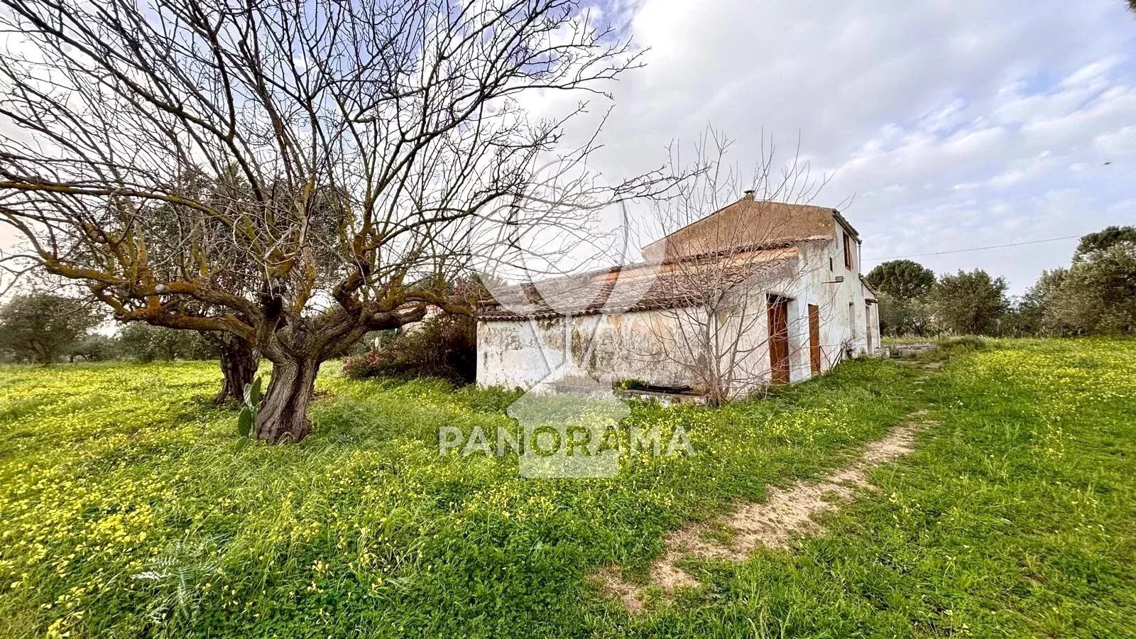 Villa Contrada Bosco Falconeria SNC, 90047 Partinico PA, Partinico - photo 1