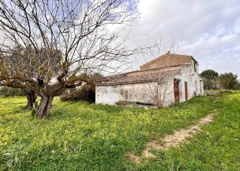 Villa Contrada Bosco Falconeria SNC, 90047 Partinico PA, Partinico - foto 1