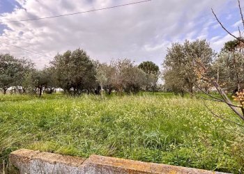 Villa Contrada Bosco Falconeria SNC, 90047 Partinico PA, Partinico - foto 7