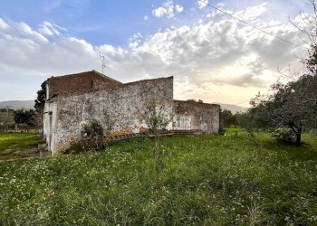 Villa Contrada Bosco Falconeria SNC, 90047 Partinico PA, Partinico - foto 9