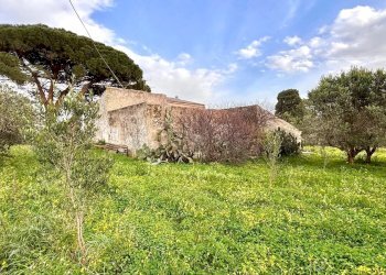 Villa Contrada Bosco Falconeria SNC, 90047 Partinico PA, Partinico - foto 10