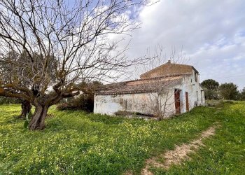 Villa Contrada Bosco Falconeria SNC, 90047 Partinico PA, Partinico - foto 12