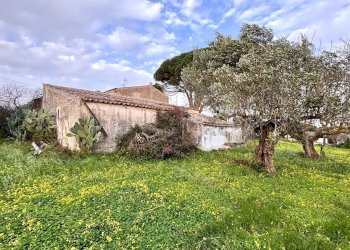 Villa Contrada Bosco Falconeria SNC, 90047 Partinico PA, Partinico - foto 16