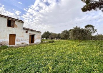 Villa Contrada Bosco Falconeria SNC, 90047 Partinico PA, Partinico - foto 17