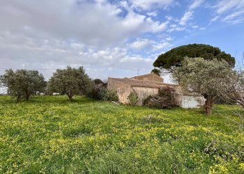 Villa Contrada Bosco Falconeria SNC, 90047 Partinico PA, Partinico - foto 19