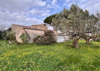 Villa Contrada Bosco Falconeria SNC, 90047 Partinico PA, Partinico - foto 20