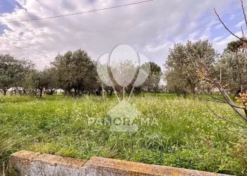 Villa Contrada Bosco Falconeria SNC, 90047 Partinico PA, Partinico - photo 7