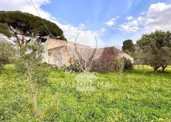 Villa Contrada Bosco Falconeria SNC, 90047 Partinico PA, Partinico - photo 10