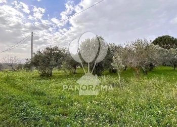 Villa Contrada Bosco Falconeria SNC, 90047 Partinico PA, Partinico - photo 14