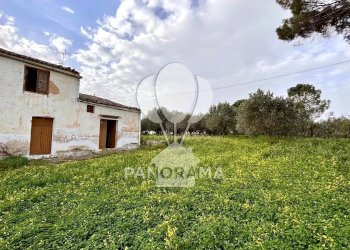 Villa Contrada Bosco Falconeria SNC, 90047 Partinico PA, Partinico - photo 17