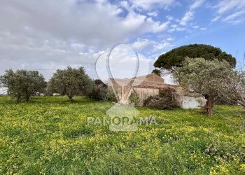 Villa Contrada Bosco Falconeria SNC, 90047 Partinico PA, Partinico - photo 19