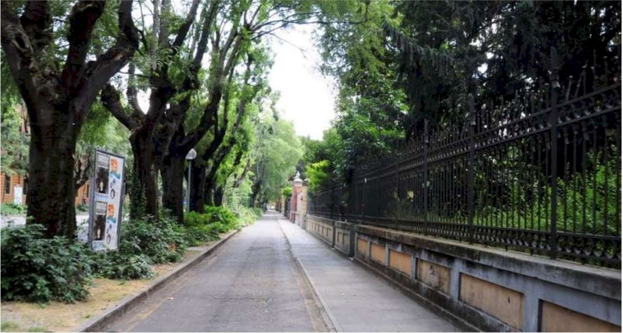 Commercial Activity Modena (neighborhood Circoscrizione 1) - photo 2