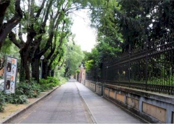 Commercial Activity Modena (neighborhood Circoscrizione 1) - photo 2