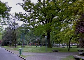 Commercial Activity Modena (neighborhood Circoscrizione 1) - photo 4