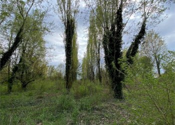 Villa Castelfranco Emilia - foto 25