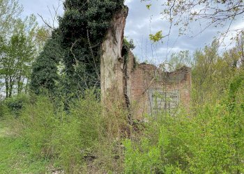 Villa Castelfranco Emilia - foto 39