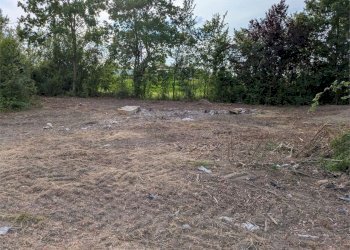 Villa Castelfranco Emilia - foto 45