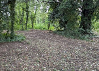 Villa Castelfranco Emilia - foto 48
