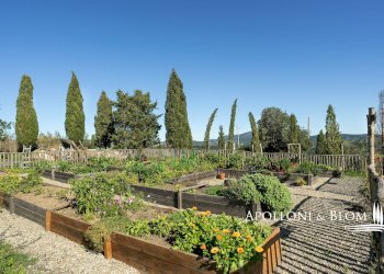Rustic Via Francigena, 90, Radicofani - photo 48
