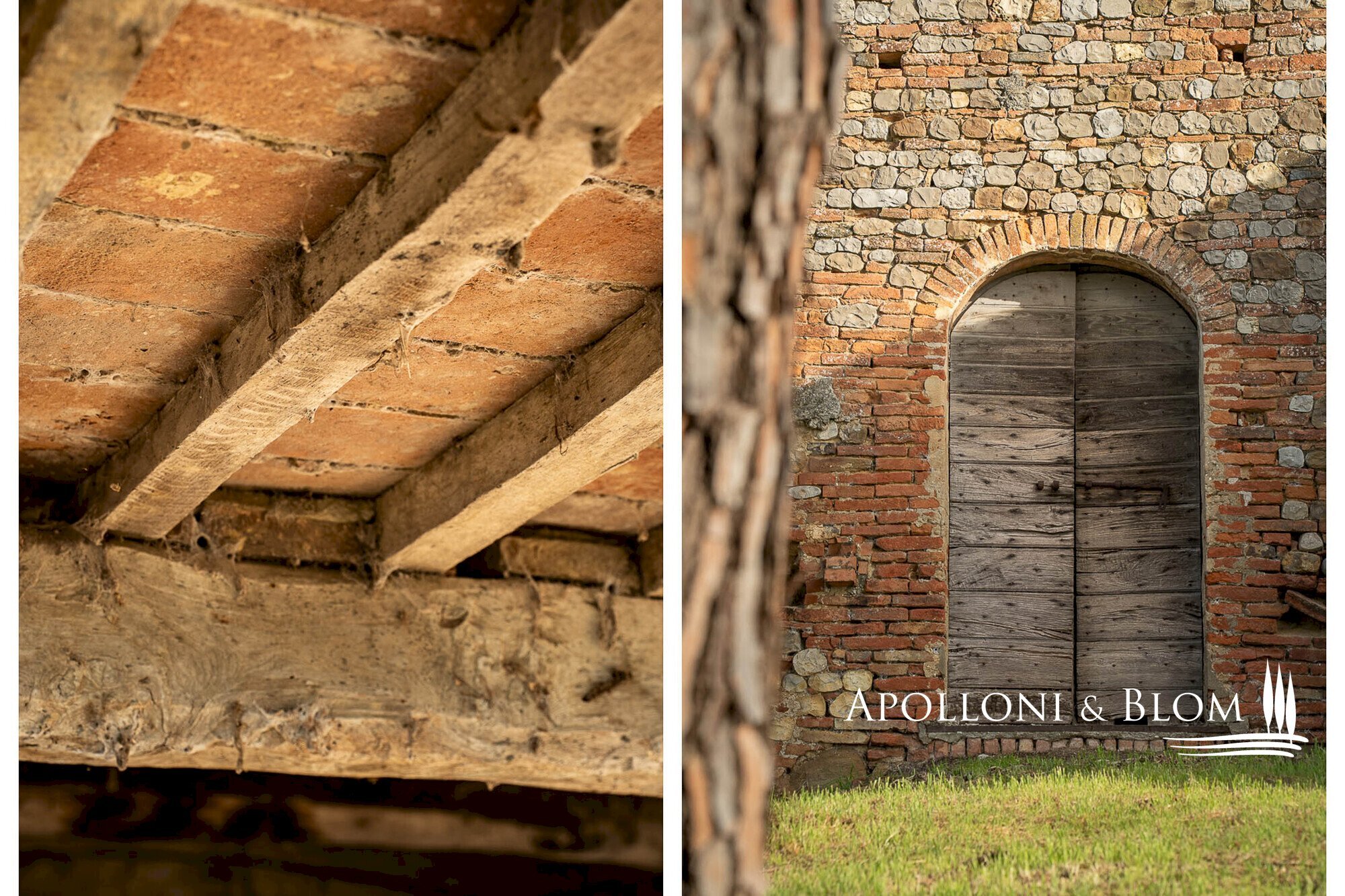 Rustico Città della Pieve - foto 3