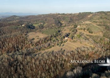 Rustico Città della Pieve - foto 8
